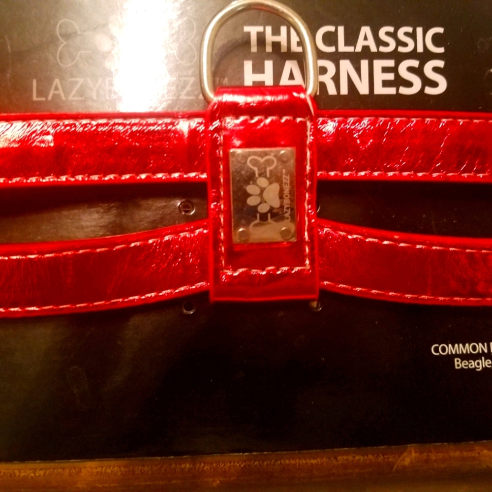 Dog Harness